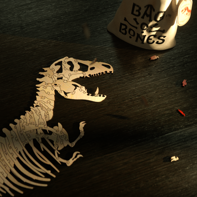 Bag-O-Bones : Puzzles Unearthed - Dinosaurs